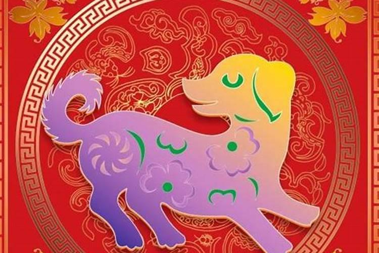 属相猪今年适合什么颜色