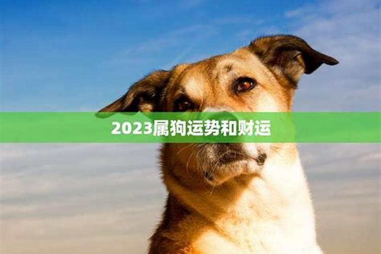 属狗人的2023年运势