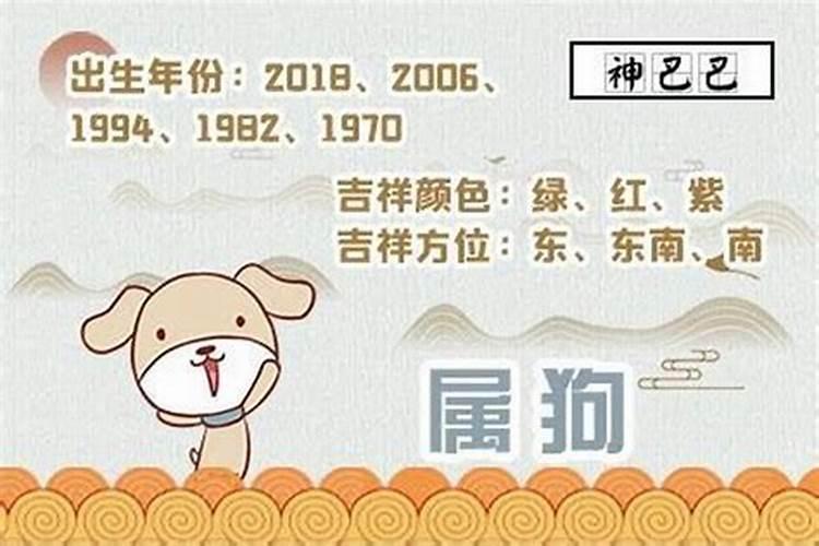 1995属狗今年运势如何