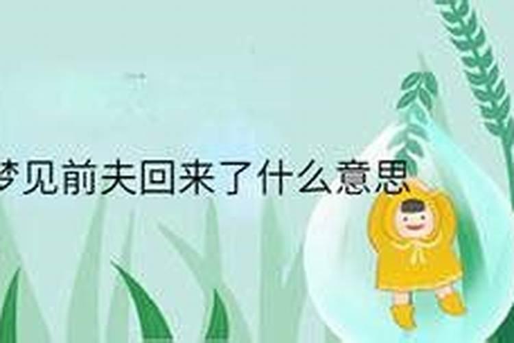 梦见前夫回来了啥意思呀