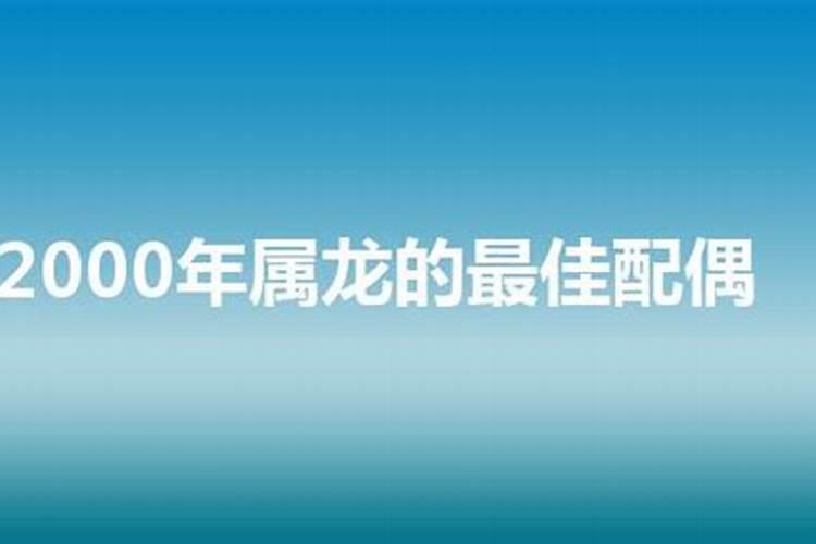 88龙最佳配偶属相