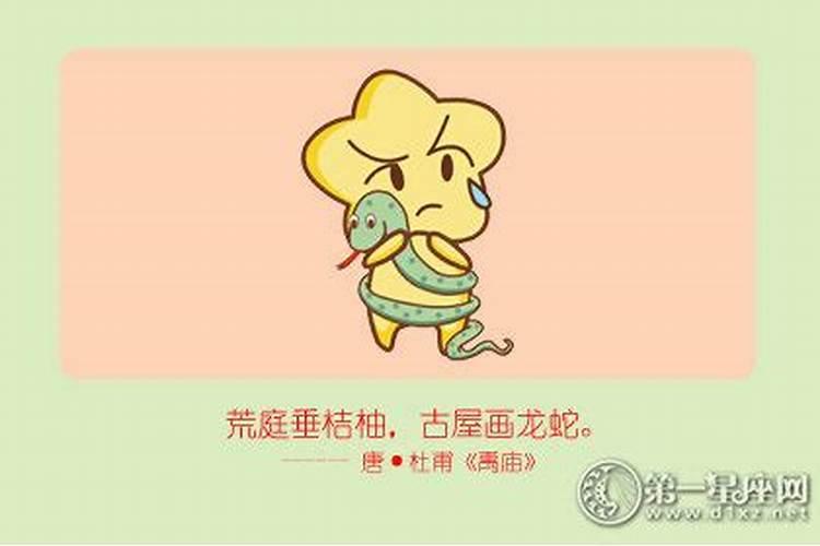 属蛇的女人命好不