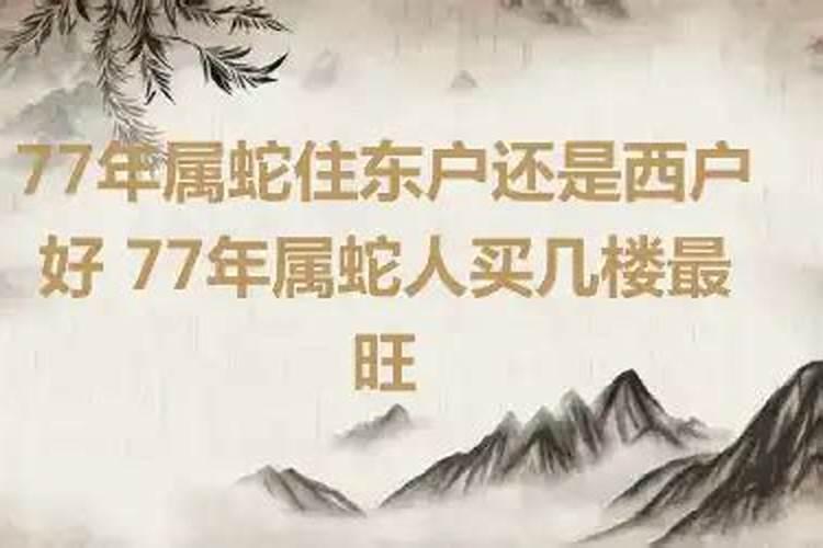 属蛇的人适合住几楼吉祥楼层