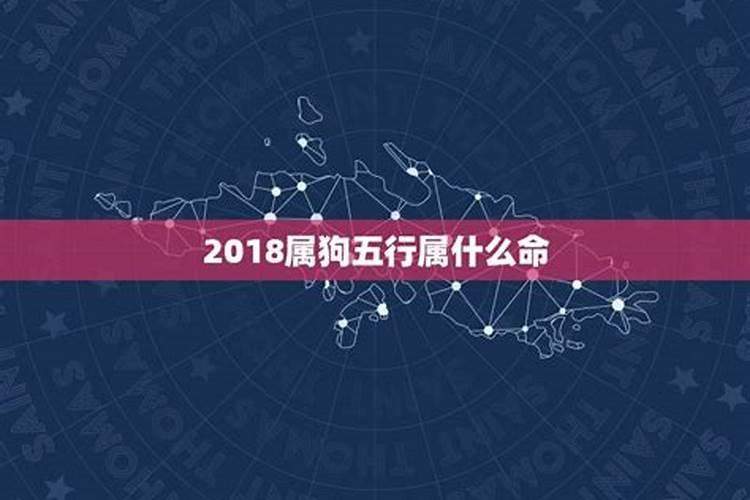 2018年是属什么狗