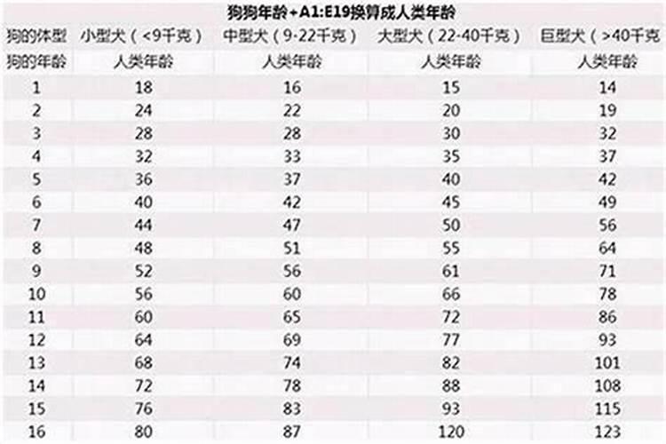 属狗今年运势2021年多大