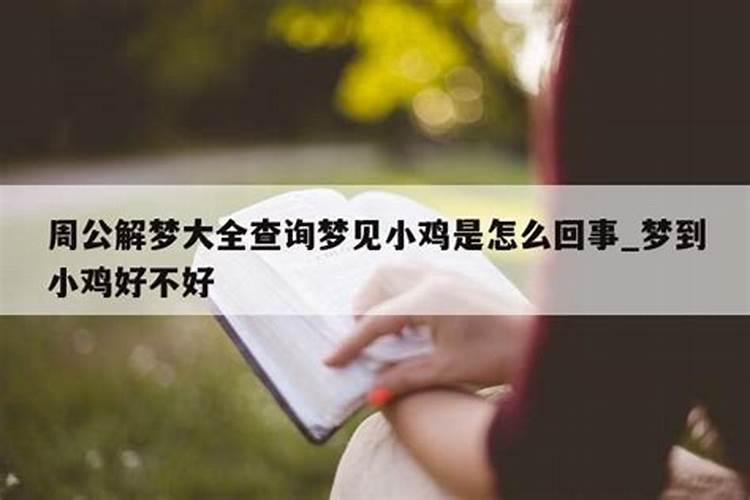 梦见小鸡是什么意思解梦