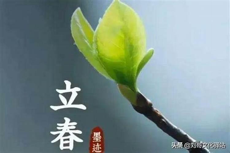 立春立到年里面有什么说法