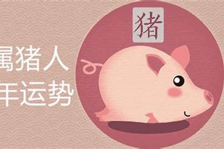 属猪今年运势属猪今年运势