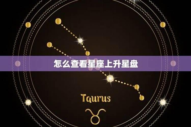 星盘怎么看另一半星座