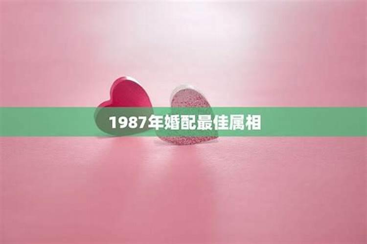 87年和76年属相婚配吗合适吗