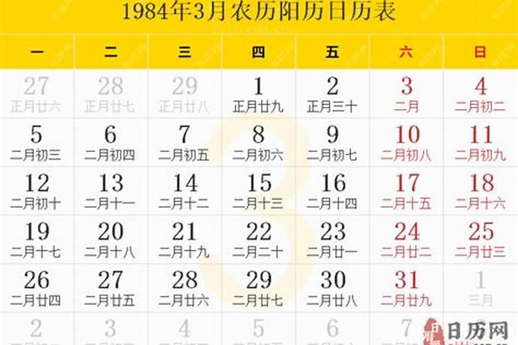 今年立春交运属相