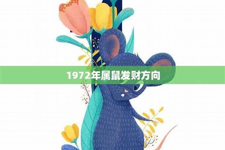 1972年属鼠今年做啥工作好