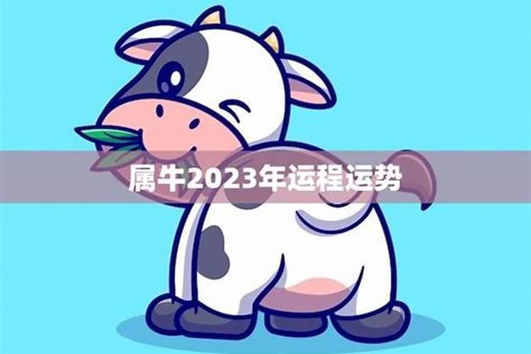 生肖牛2023年二月运势