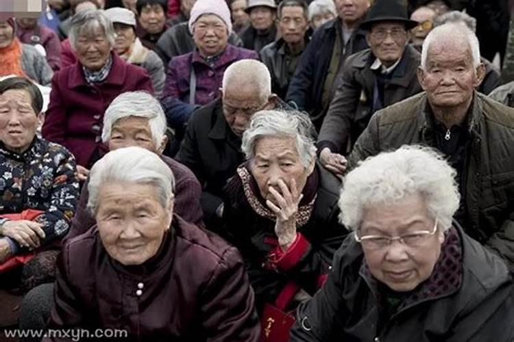 梦见白发老人什么预兆解梦女性