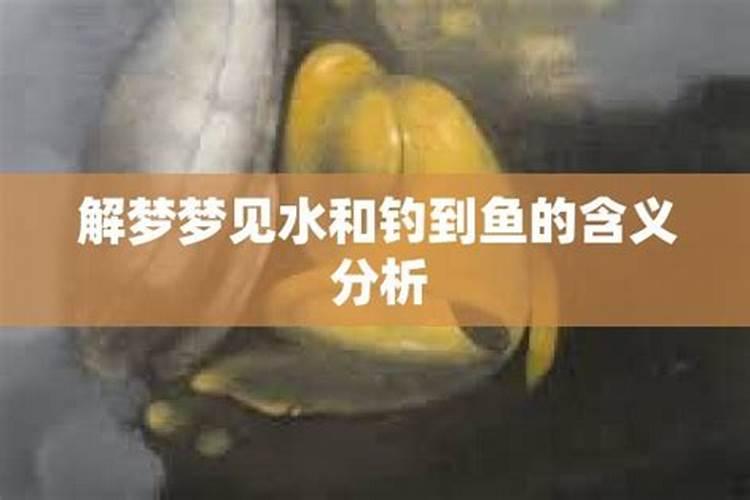 每天做梦都会梦到水