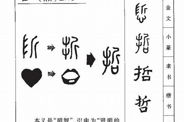 哲字五行属什么,带哲字的名字