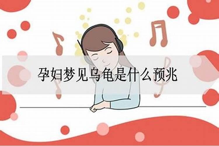 梦到王八是什么意思