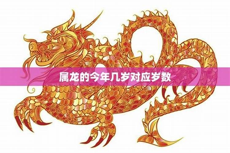 12生肖属龙的今年多大年龄