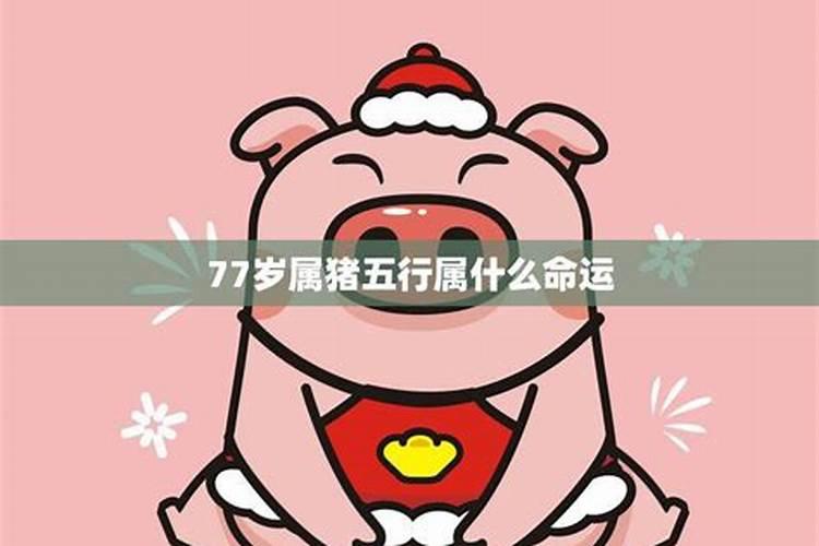 二十五岁属猪人今年运势怎么样