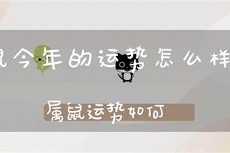 属鼠今年的运势怎么样2021年结婚