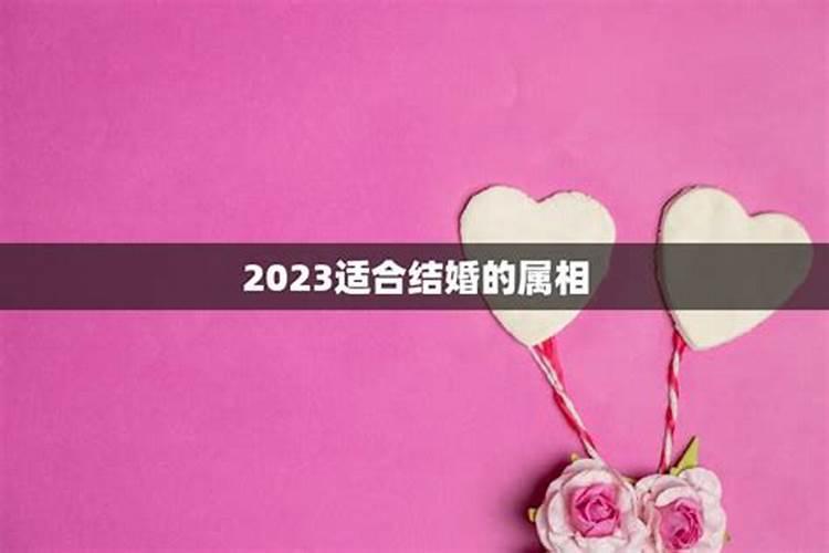 2023年什么生肖适合结婚生子