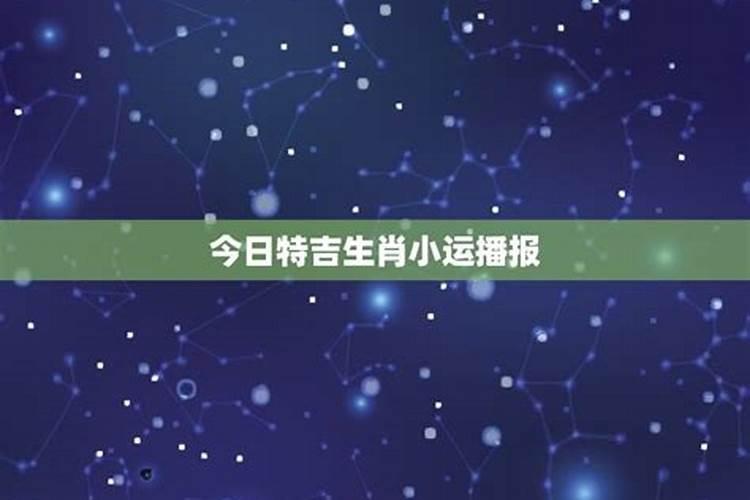 今日特吉生肖小运播报2021年7月