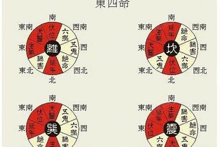 怎么看八字婚姻宫逢冲分析