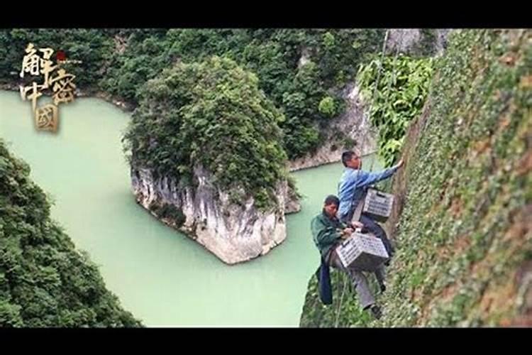 梦见和死去的父亲上山