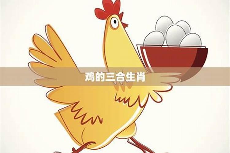 属鸡的三合生肖是什么