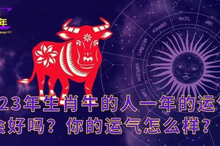 2023年属牛的运气怎么样呀