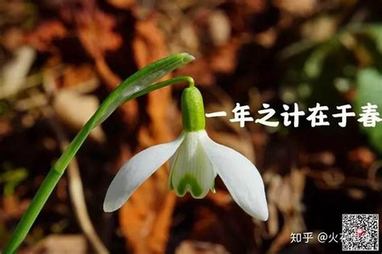 古代春节是立春哪天吗