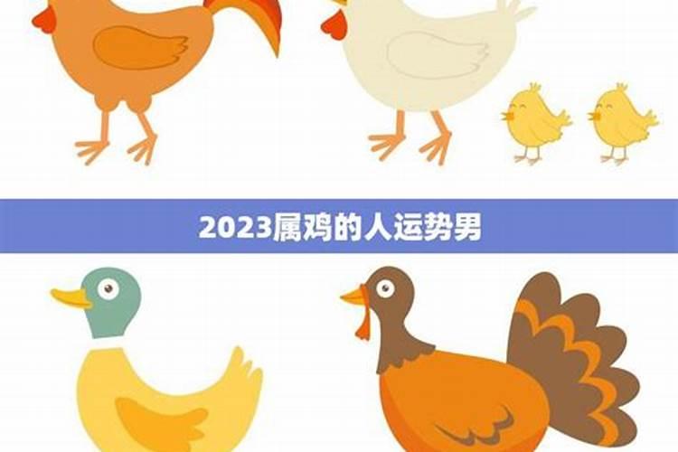 属鸡男性2023年运势