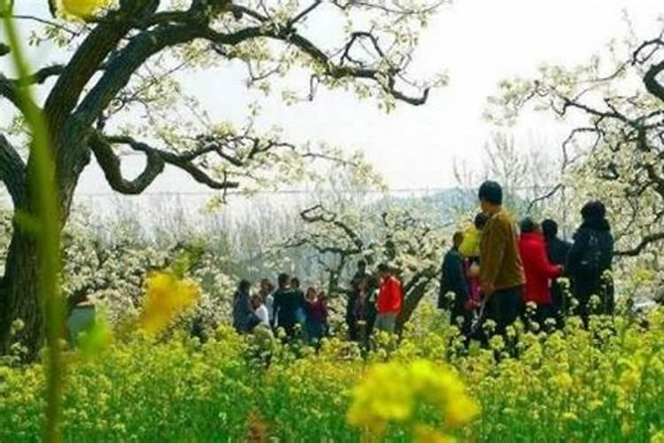 清明节给祖坟添土时间