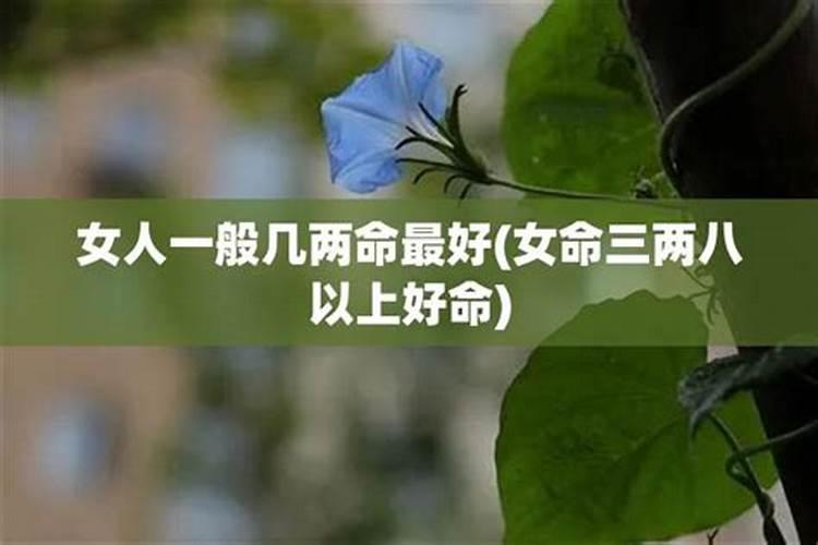 农历九月初九冲什么