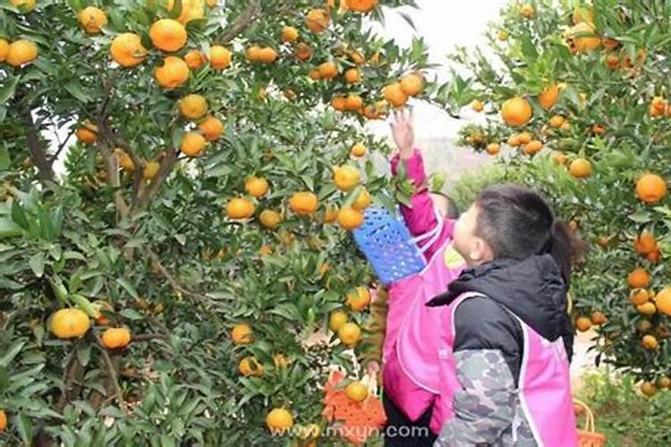 端午节端午节的来历是什么