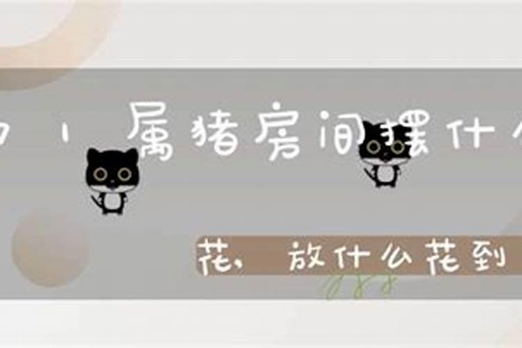 属猪人的桃花位