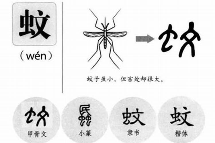 禾字五行属什么寓意