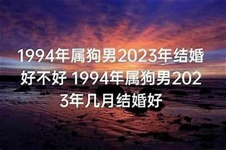 94年狗2021年结婚好不好,两个人都是94年属狗好吗