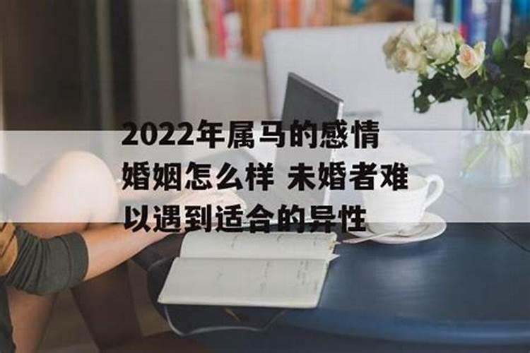 属马2022年适合结婚