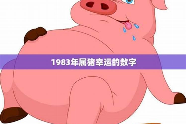 1983年属猪的幸运数字是多少