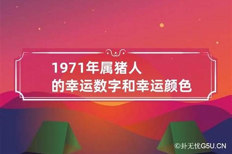 1971年属猪的幸运数字是多少