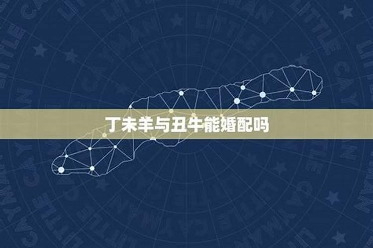 属牛兔2023年运势运程