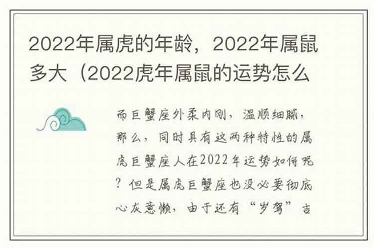 2022年属鼠命运如何