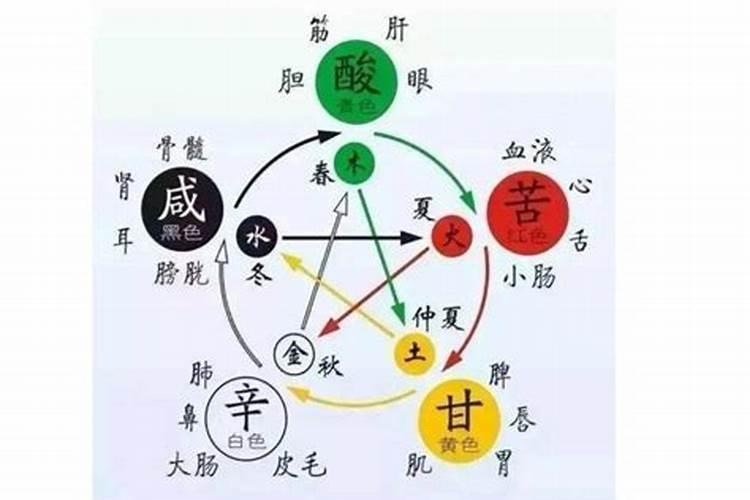 易经五行含义