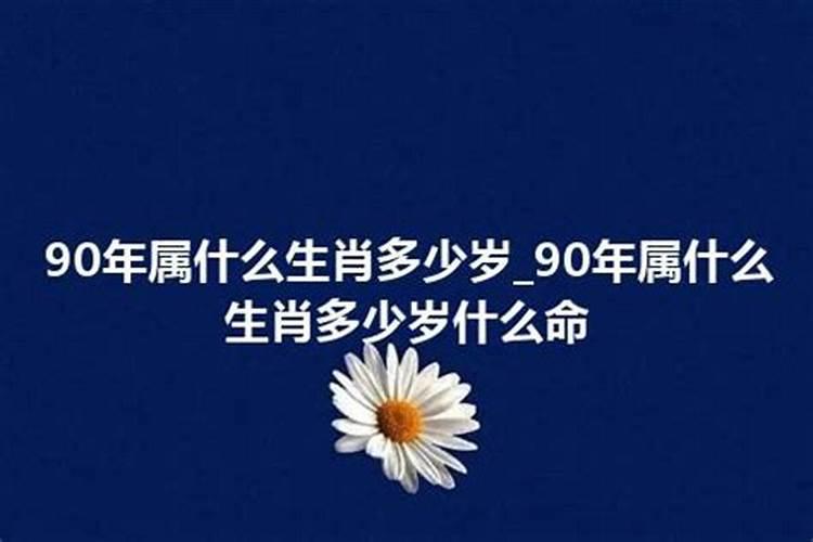 90岁的生肖是什么