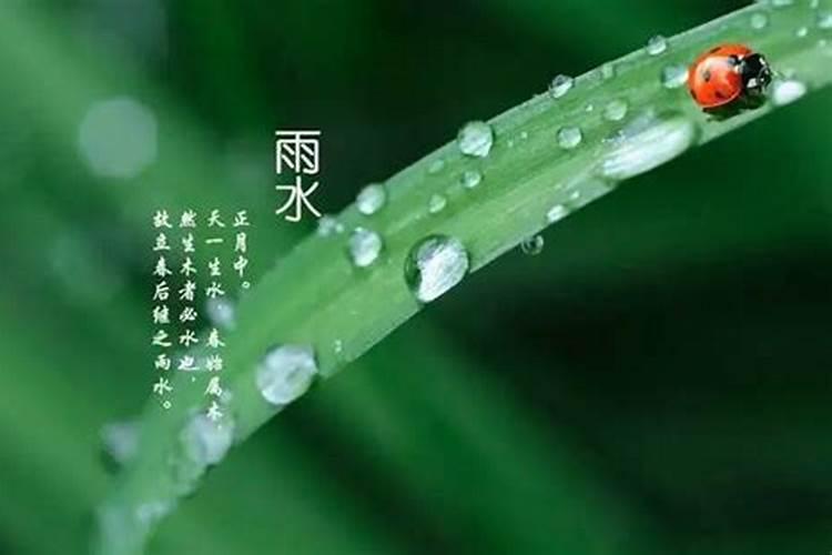 清明和谷雨之间有哪个节气