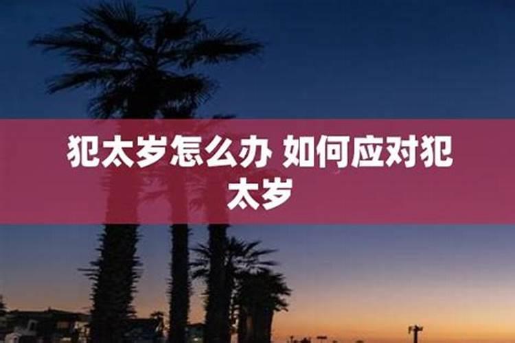 梦见漂亮的大公鸡什么征兆