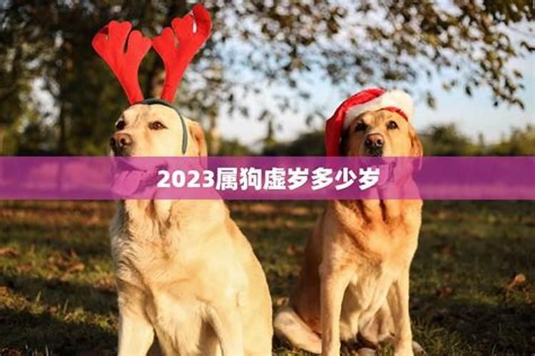 属狗多大2021虚岁