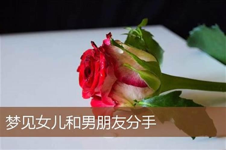 梦见闺女男朋友不愿意了什么意思