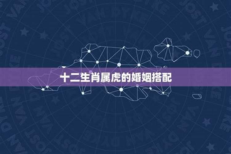 提高发际线能改运势吗